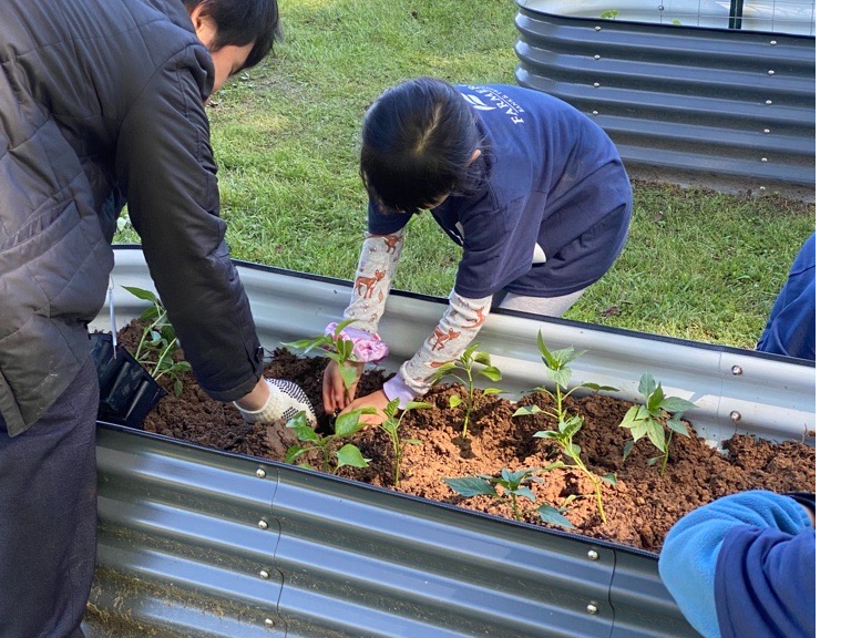 MicrosoftTeams-image (249)